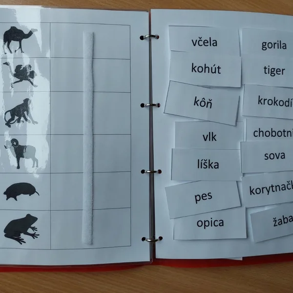 Čítanie s porozumením - Komu patrí tieň? 1