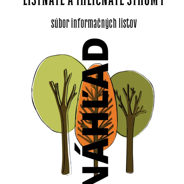 Listnaté a ihličnaté stromy 1