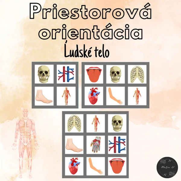Ľudské telo, priestorová orientácia 1