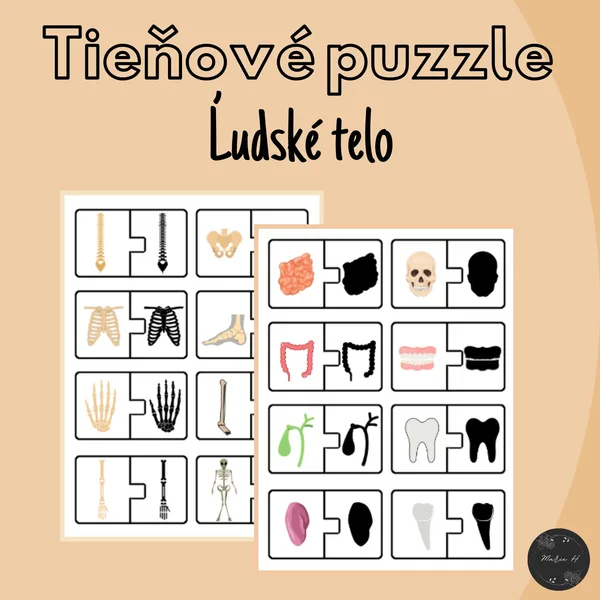 Ľudské telo, tieňové puzzle 1