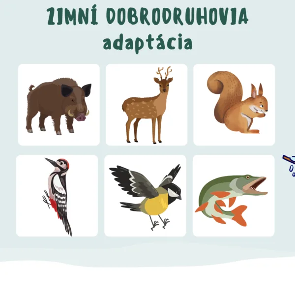 Didaktická pomôcka - hibernácia, adaptácia, migrácia 1
