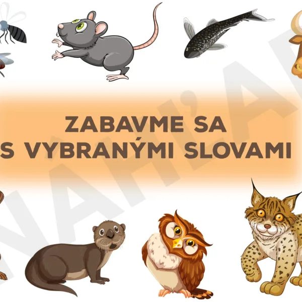 Zabavme sa s vybranými slovami 1