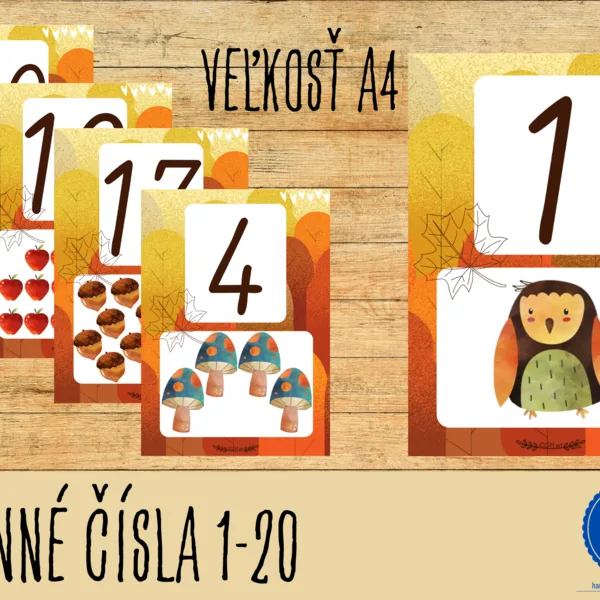 ČÍSLA 1-20 (jeseň) 1