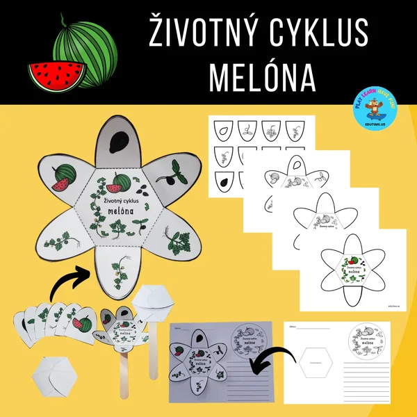 Životný cyklus melóna 1