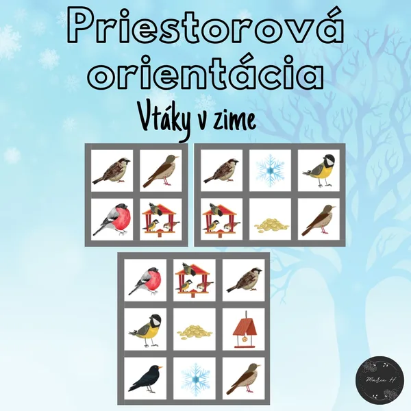Vtáky v zime, priestorová orientácia 1