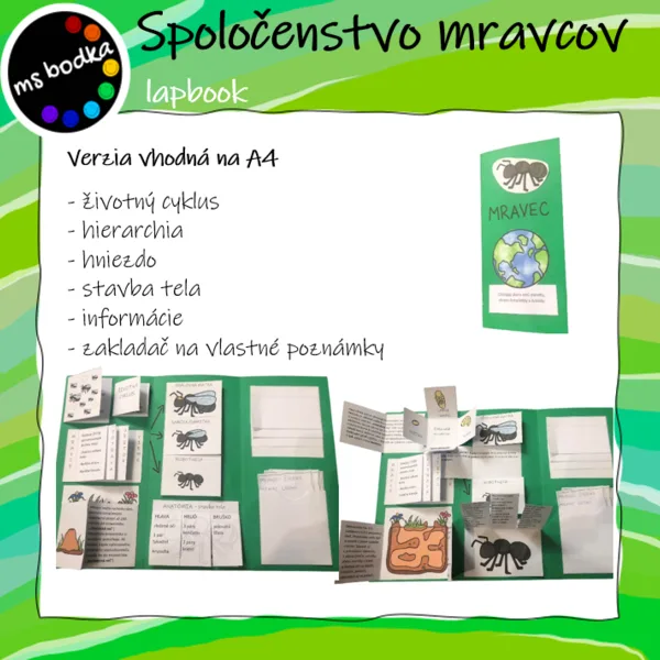 Mravec Lapbook 1