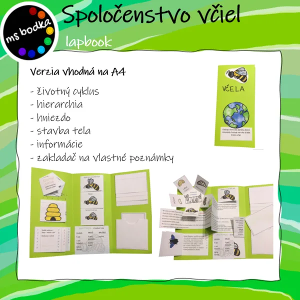 Včela lapbook 1