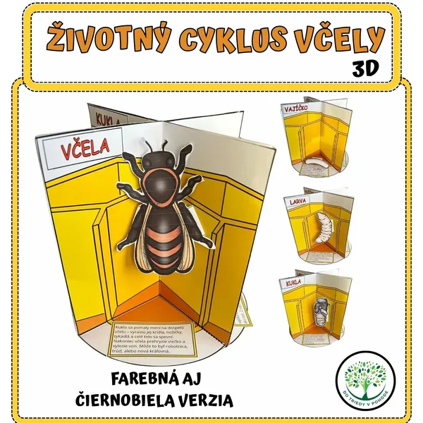 ŽIVOTNÝ CYKLUS VČELY - 3D SKLADAČKA 1
