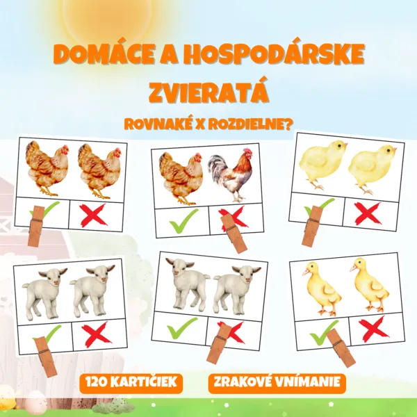 DOMÁCE A HOSPODÁRSKE ZVIERATÁ - brožúra - rovnaké x rozdielne? 1