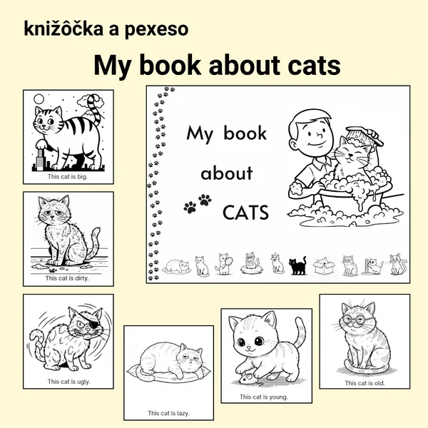 My book about CATS 1