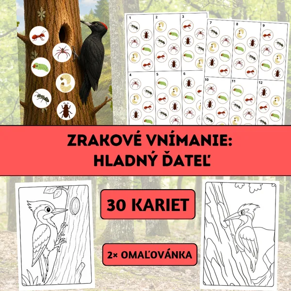 Zrakové vnímanie: Hladný ďateľ 1