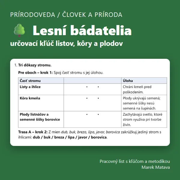🌳 Lesní bádatelia – určujeme listy, kôru a plody 1