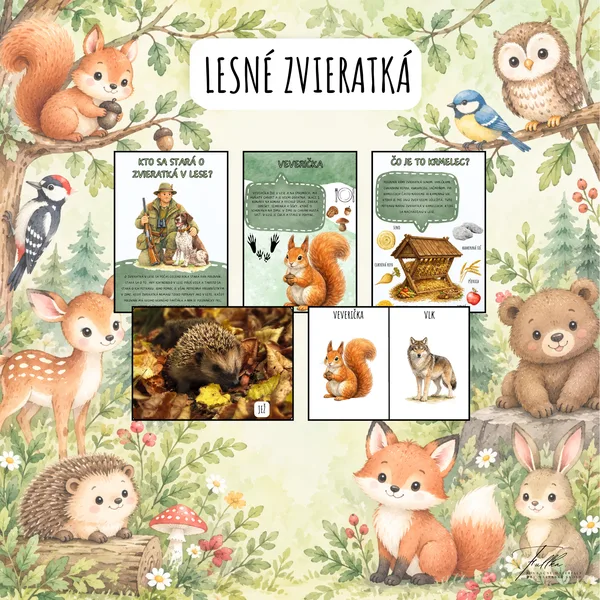 Lesné zvieratká, Zvieratká z lesa, Zvieratká v zime 1