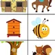 KDE BÝVAJÚ ZVIERATKÁ? 4