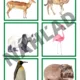 Pracovné listy - Zoologická záhrada 5