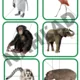 Pracovné listy - Zoologická záhrada 7