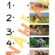 Exotické zvieratá, pracovné listy 7