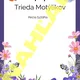 Výzdoba triedy - Motýlikov 3