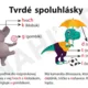Tvrdé a mäkké spoluhlásky 2