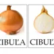 PEXESO OVOCIE A ZELENINA (veľké) 3