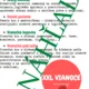 XXL VIANOCE 2
