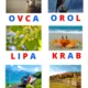 Montessori veľká pohyblivá abeceda s predlohami 2