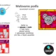 Hudobné maľovanie - dynamika - myška 3