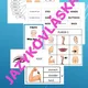 The human body for beginners veľký súbor aktivít 3
