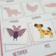  Priraďovanie tieňov – zvieratká 2