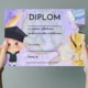 Diplomy  2