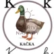 Abeceda pre 1. ročník ZŠ /školské písmo/ 5