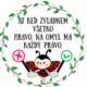 Pravidlá triedy- lienka. 11