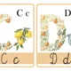 Abeceda  3