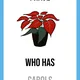 ENG - CHRISTMAS (3 PACK) 3