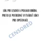 Jún mesiac rozkvitnutých lúk, Leto 8