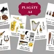 Hudobné Nástroje - plagáty, karty 4