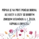Jún mesiac rozkvitnutých lúk, Leto 4