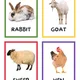Flashcards - Animal on the farm 3