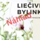 Liečivé bylinky / Spoločenstvo lúk 4