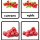 Fruit - Ovocie  3