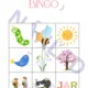 Jarné BINGO! 2