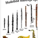 Hudobné nástroje symfonického orchestra - plagát 3