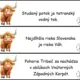 Behací diktát - vlastné podstatné mená 2