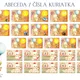 Materiály pre triedu - kuriatka 2