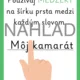 Pravidlá písania – plagáty 4