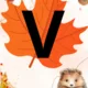 GIRLANDA - VITAJ JESEŇ 2