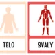 Ľudské telo a jeho časti, orgány, moje telo, zmysly - demonštračné obrázky 4