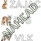 Lesné zvieratá 4