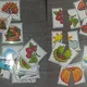 Znaky a symboly jesene 3