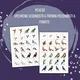 PDF Vtáci - karty (flashcards) v SJ a AJ obojstranné, montessori trojzložkové karty, plagáty a pexeso 3